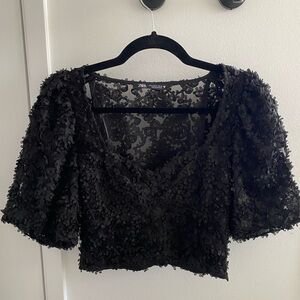 Zara cropped embroidered texture top